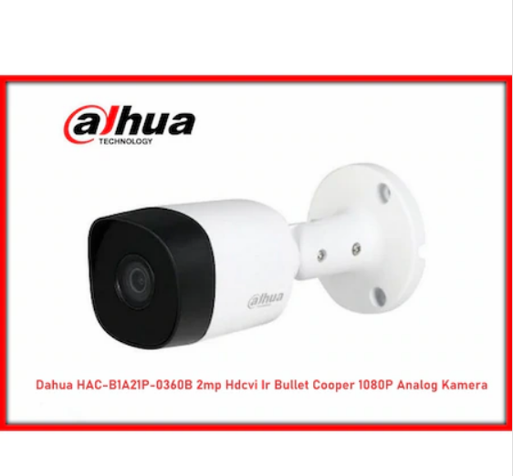 dahua b1a21p